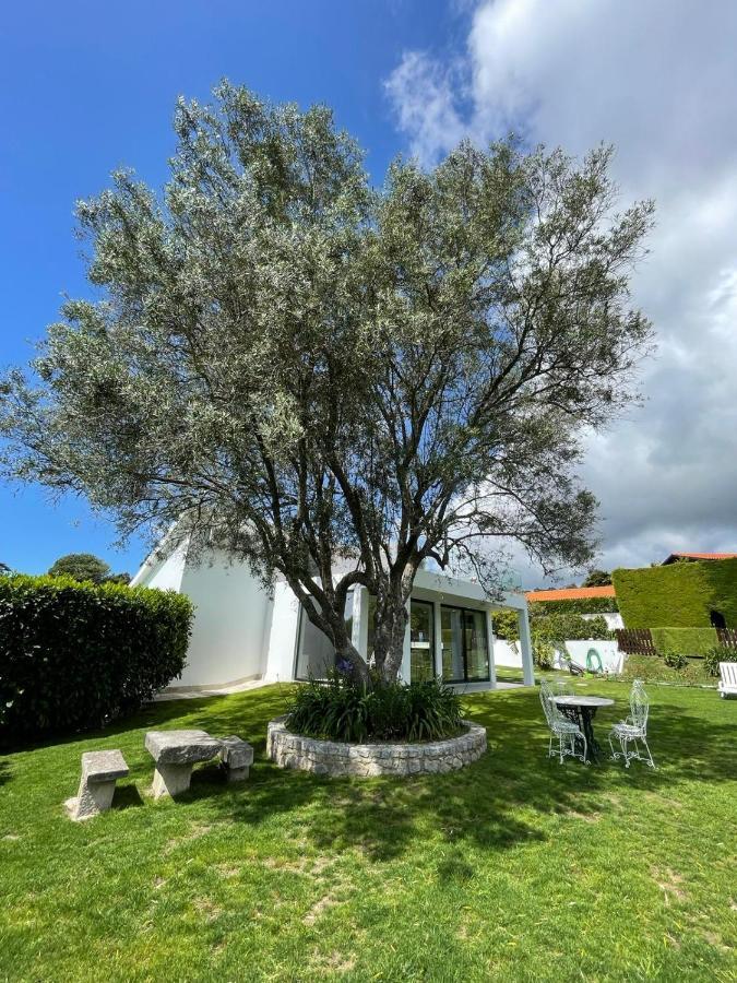 Fonte Do Forno Villas Afife Extérieur photo